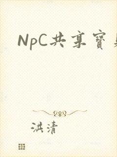 NpC共享宝贝