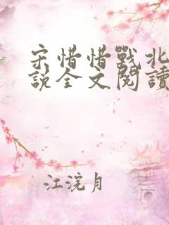 宋惜惜战北望小说全文阅读