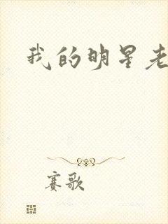 我的明星老豆