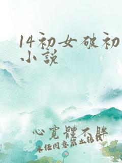 14初女破初的小说