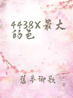 4438X最大的色
