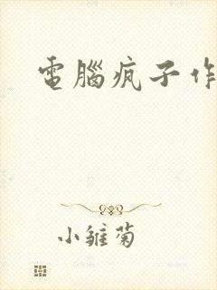 电脑疯子作品