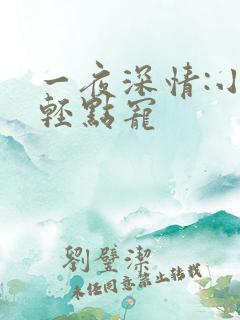 一夜深情:小叔轻点宠