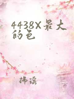 4438X最大的色