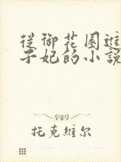 从御花园进入太子妃的小说