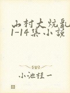 山村大炕乱肉续1-14集小说