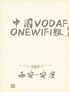 中国VODAFONEWIFI粗暴APP