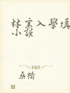 林寒入学填未婚小说