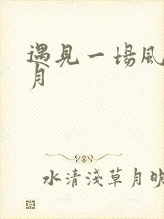 遇见一场风花雪月