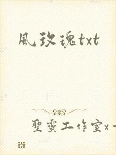 风玫瑰txt