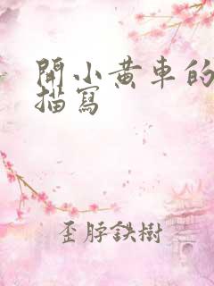 开小黄车的细腻描写