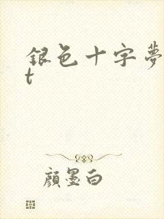 银色十字梦txt