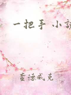 一把手 小说