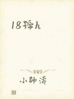 18号h