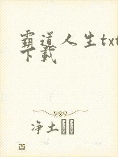 霸道人生txt下载