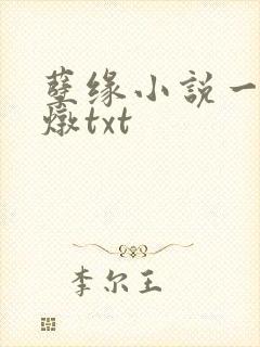 孽缘小说一家乱炖txt