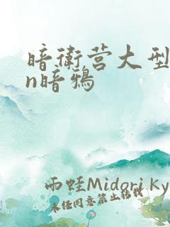 暗卫营大型hpn暗鸦