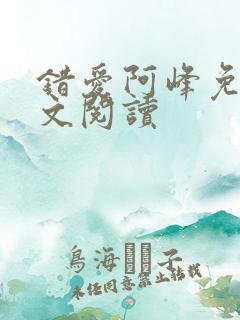 错爱阿峰免费全文阅读