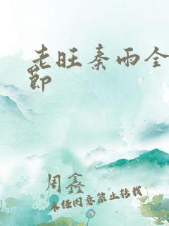 老旺秦雨全部章节