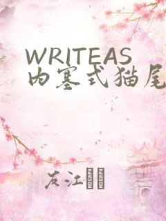 WRITEAS内塞式猫尾