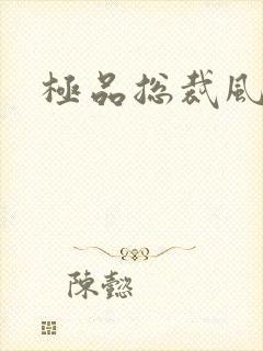 极品总裁风流录