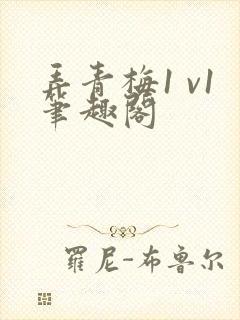 弄青梅1 v1笔趣阁