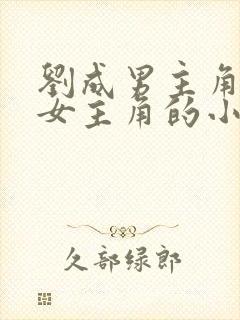 刘成男主角刘雪女主角的小说