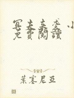 冥夫来袭 小说免费阅读