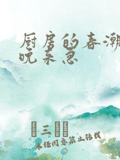 厨房的春潮带雨晚来急