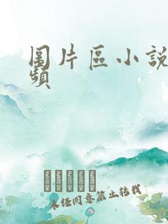 图片区小说区视频