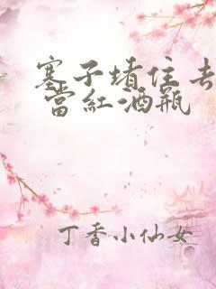 塞子堵住去上学 当红酒瓶