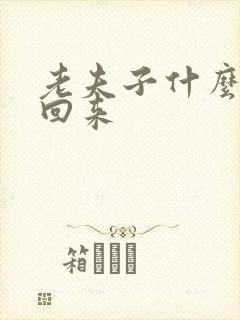 老夫子什么时候回来