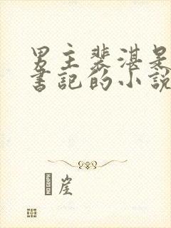 男主裴湛是省委书记的小说