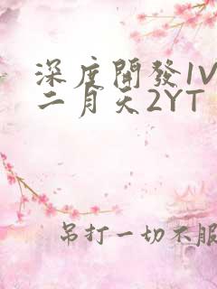 深度开发1V3二月天2YT