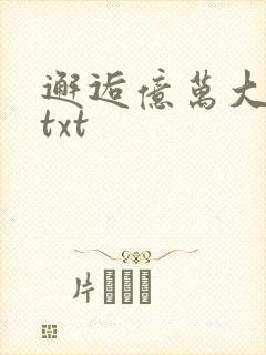 邂逅亿万大人物txt