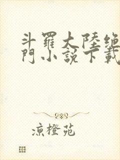 斗罗大陆绝世唐门小说下载