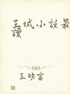 王城小说最近阅读