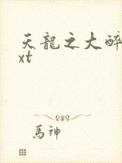 天龙之大醉侠txt