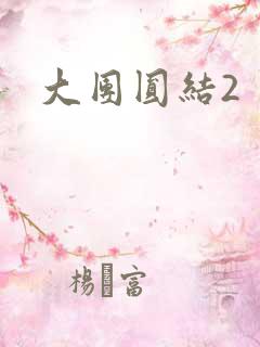 大团圆结2