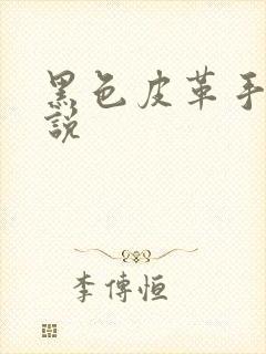 黑色皮革手册小说