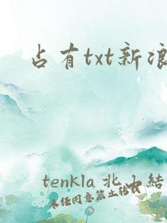 占有txt新浪
