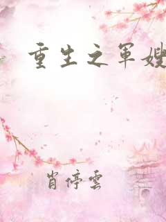 重生之军嫂