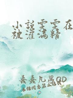 小说雯雯在工地被灌满精