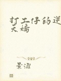 打工仔的逆袭楚天娇