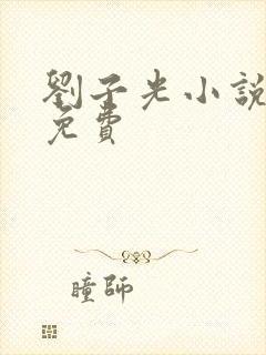 刘子光小说全文免费