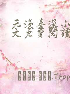 元浅秦深小说全文免费阅读