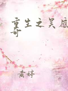 重生之吴应熊传奇