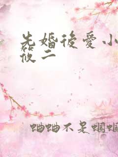 先婚后爱小说梦筱二