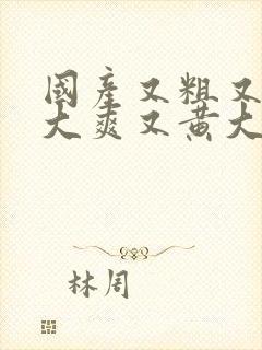 国产又粗又猛又大爽又黄大爷