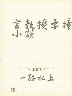 言教授要撞坏了小说